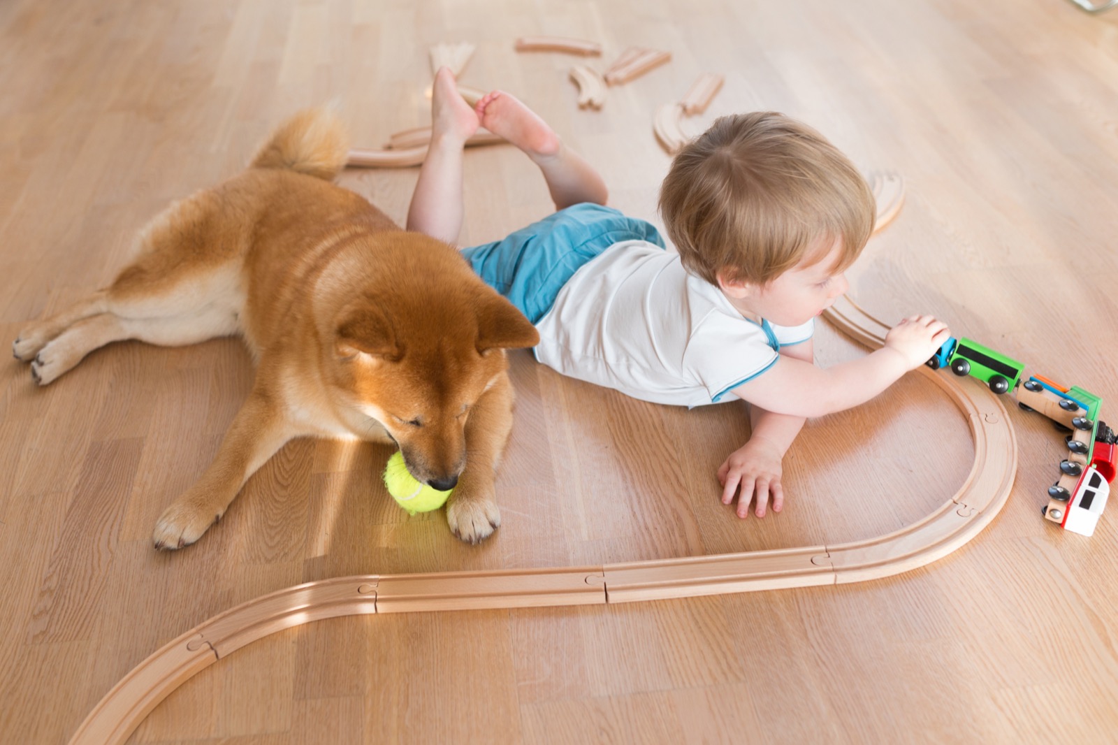 You and the dog have come to an arrangement: you run the trains, he guards the ball. Nobody has complained.
